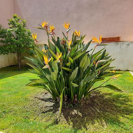 A Casa Da Avo Ana Villa Arneiro das Milharicas ภายนอก รูปภาพ