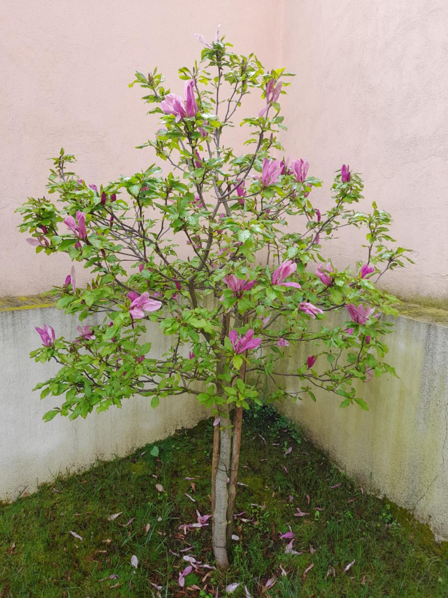 A Casa Da Avo Ana Villa Arneiro das Milharicas ภายนอก รูปภาพ