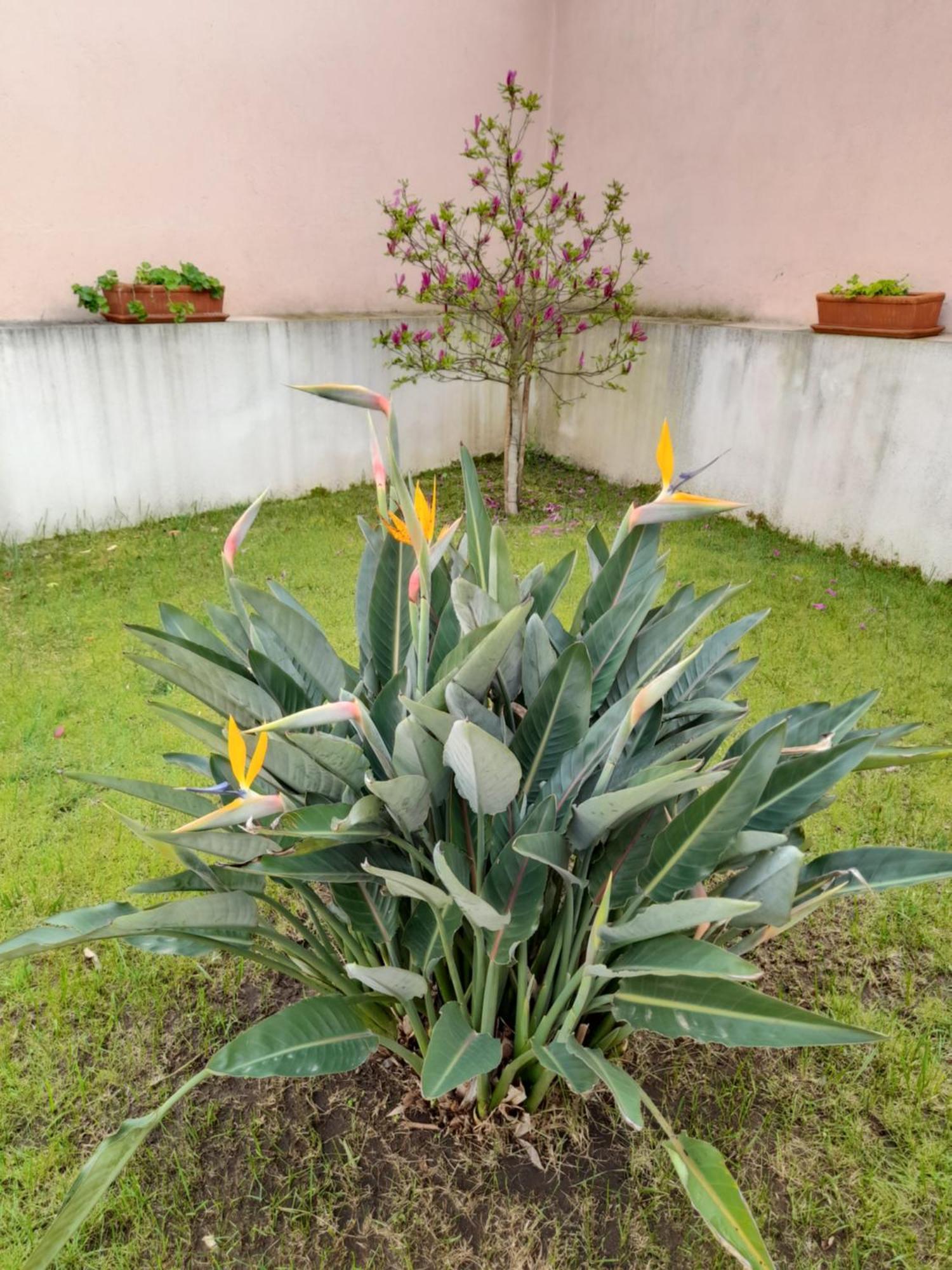 A Casa Da Avo Ana Villa Arneiro das Milharicas ภายนอก รูปภาพ