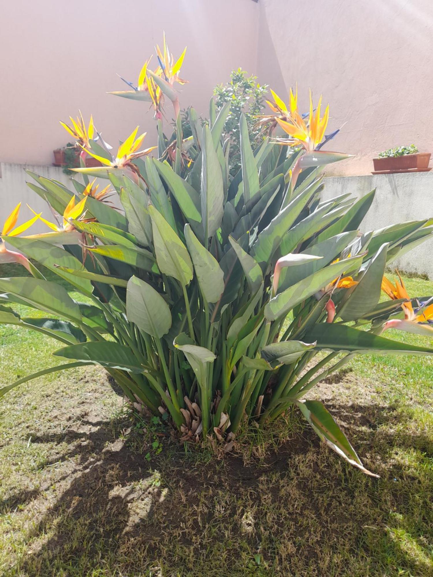 A Casa Da Avo Ana Villa Arneiro das Milharicas ภายนอก รูปภาพ