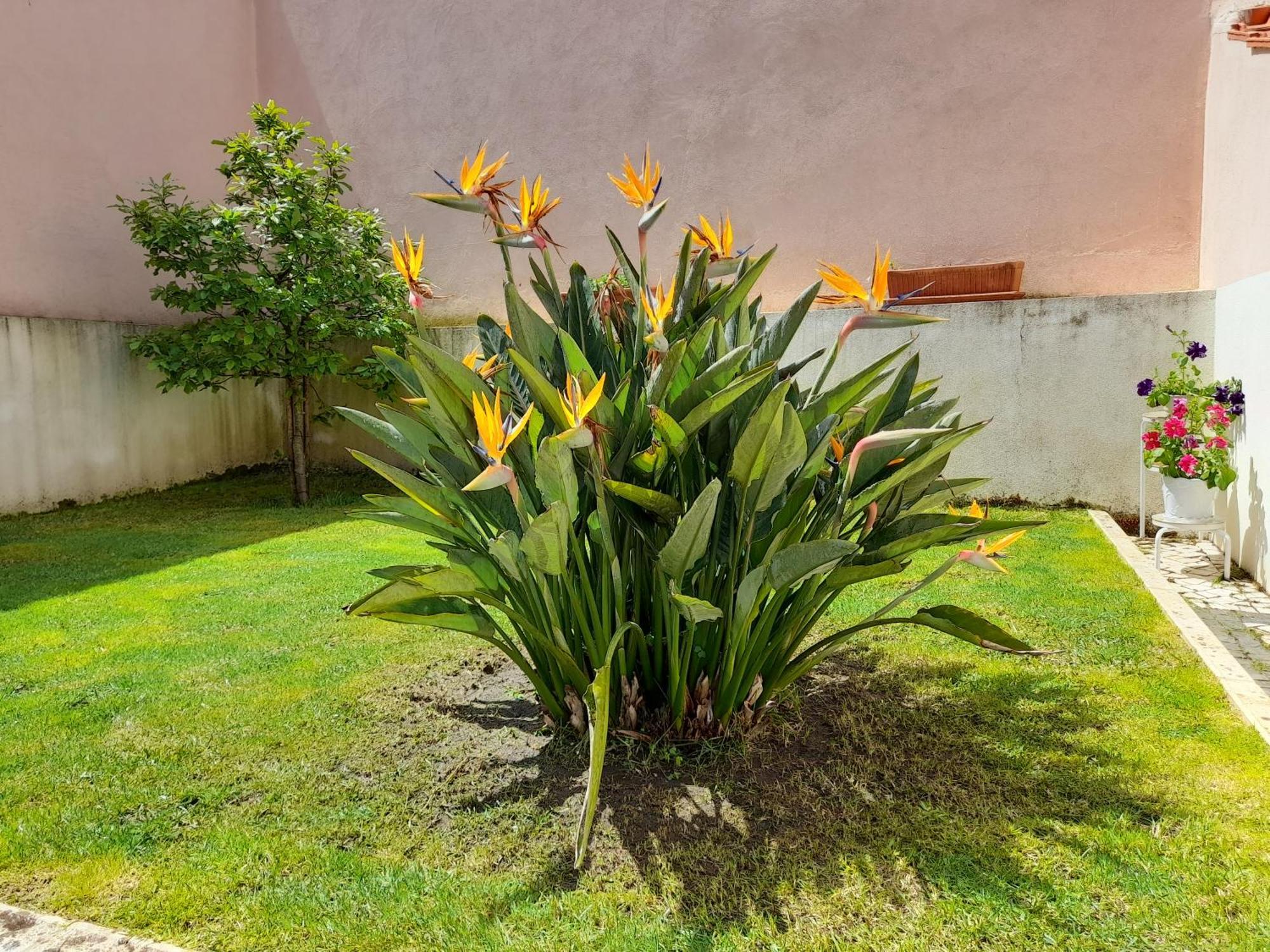 A Casa Da Avo Ana Villa Arneiro das Milharicas ภายนอก รูปภาพ